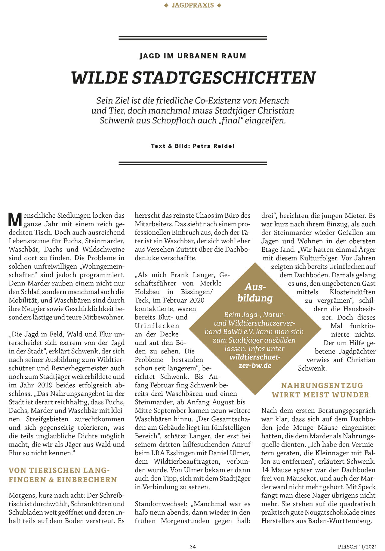 Wilde Stadtgeschichten