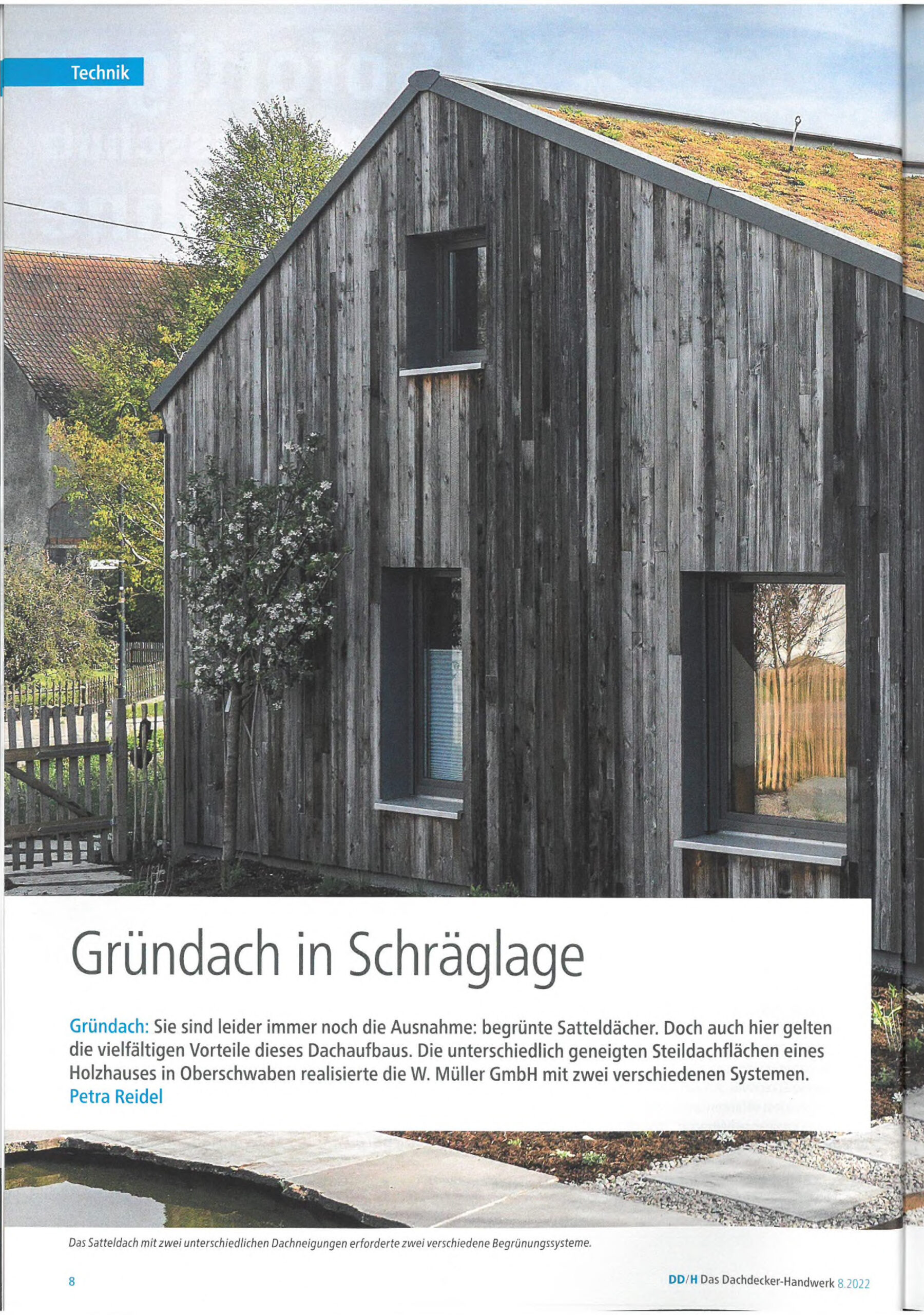 Gründach in Schräglage