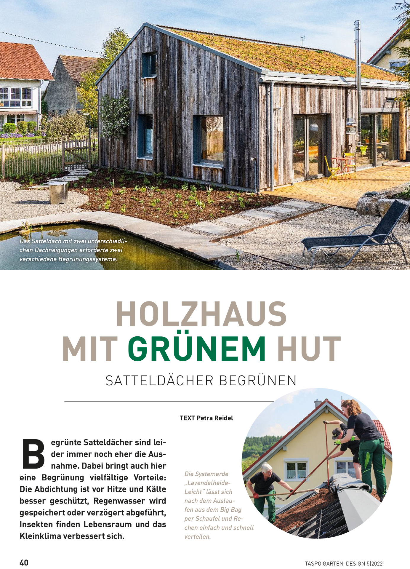 Holzhaus mit grünem Hut
